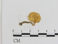 登錄號:F0005646藏品圖，第3張