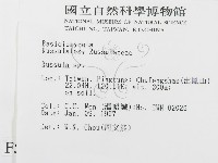 紅菇屬藏品圖，第2張