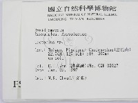 乳菇屬藏品圖，第2張