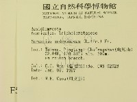 登錄號:F0005649藏品圖，第2張