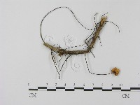 登錄號:F0005649藏品圖，第3張