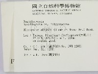 相鄰小孔菌藏品圖，第2張