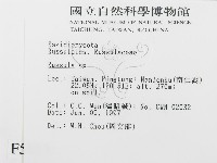 紅菇屬藏品圖，第2張