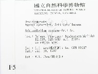 裂褶菌藏品圖，第2張