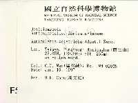 毛木耳藏品圖，第2張