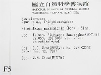 登錄號:F0005663藏品圖，第2張