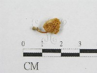 登錄號:F0005663藏品圖，第1張