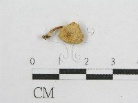 登錄號:F0005663藏品圖，第3張