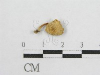 登錄號:F0005663藏品圖，第4張