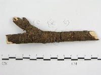 登錄號:F0005665藏品圖，第4張