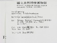 登錄號:F0005666藏品圖，第2張