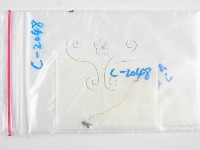 鬼傘屬藏品圖，第1張