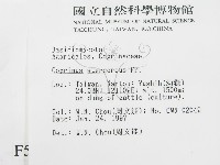 登錄號:F0005670藏品圖，第2張