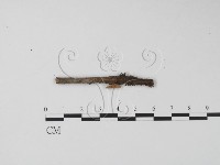 登錄號:F0005671藏品圖，第1張