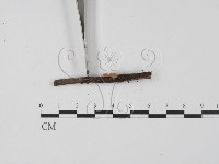 登錄號:F0005671藏品圖，第3張