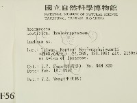 登錄號:F0005672藏品圖，第2張