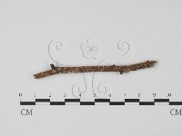 登錄號:F0005672藏品圖，第1張