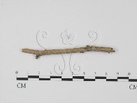 登錄號:F0005672藏品圖，第3張