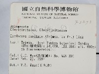 登錄號:F0005673藏品圖，第2張