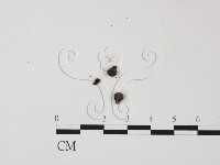 登錄號:F0005674藏品圖，第3張