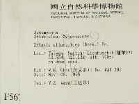登錄號:F0005676藏品圖，第2張