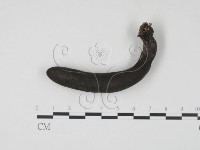登錄號:F0005676藏品圖，第1張