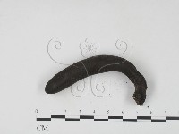 登錄號:F0005676藏品圖，第3張