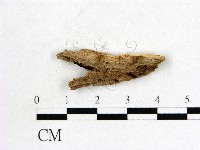 登錄號:F0005677藏品圖，第1張