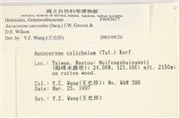 登錄號:F0005677藏品圖，第3張