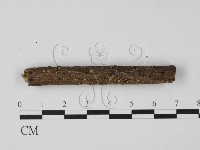 登錄號:F0005679藏品圖，第1張