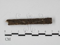 登錄號:F0005679藏品圖，第3張