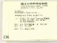 登錄號:F0005680藏品圖，第2張