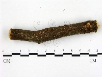 登錄號:F0005680藏品圖，第1張