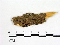 登錄號:F0005681藏品圖，第1張