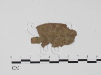 登錄號:F0005682藏品圖，第3張