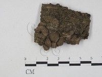 登錄號:F0005683藏品圖，第1張