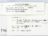 登錄號:F0005684藏品圖，第2張