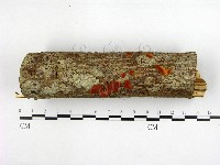 登錄號:F0005684藏品圖，第1張