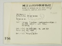 炭角菌屬藏品圖，第2張