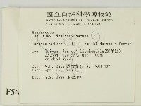 登錄號:F0005687藏品圖，第2張