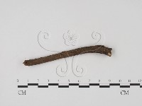 登錄號:F0005687藏品圖，第1張