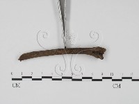 登錄號:F0005687藏品圖，第3張