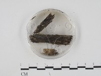 登錄號:F0005689藏品圖，第3張