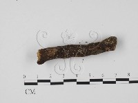 登錄號:F0005691藏品圖，第3張