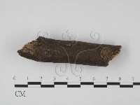 登錄號:F0005692藏品圖，第1張