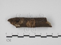 登錄號:F0005692藏品圖，第3張