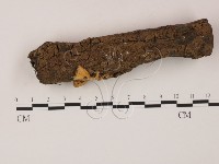 登錄號:F0005693藏品圖，第1張