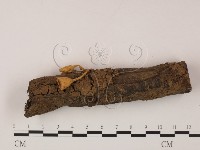 登錄號:F0005693藏品圖，第3張