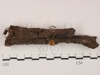 登錄號:F0005694藏品圖，第1張