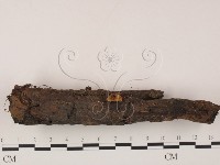 登錄號:F0005694藏品圖，第3張